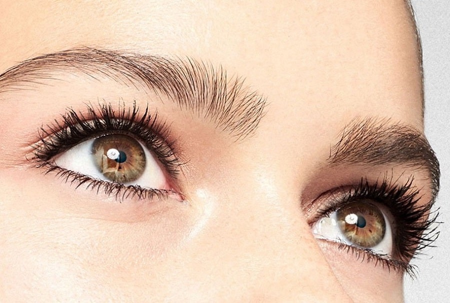 duree de vie cils