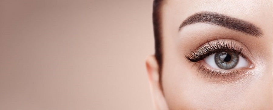 fournisseur extension de cils