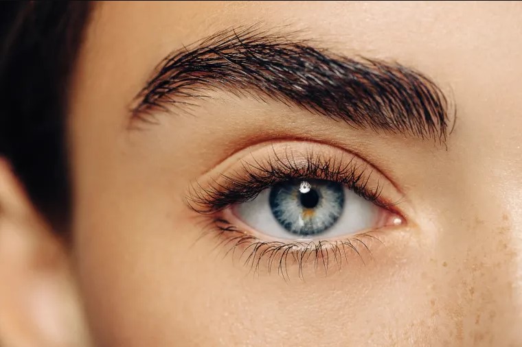 Combien de temps faut-il pour que les cils repoussent après des extensions ?